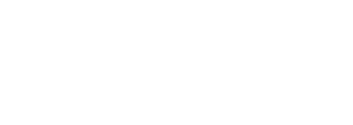 STS-logo-wht2