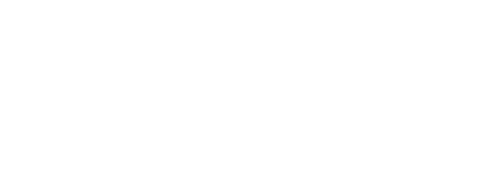 logo-paradigm-wht